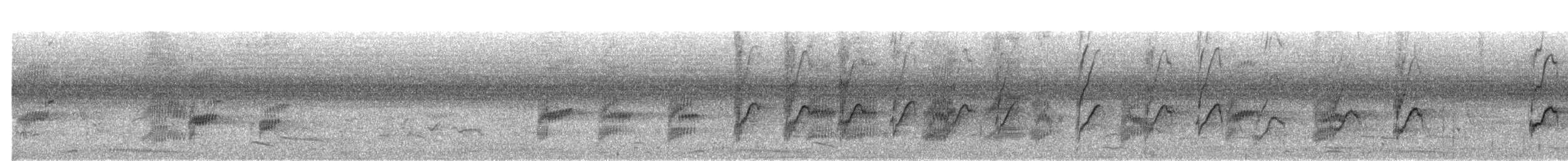 Perruche de Finsch - ML341523131