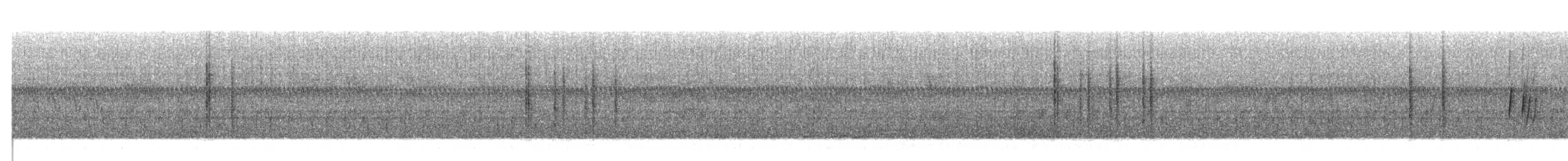 Black-browed Reed Warbler - ML341523651