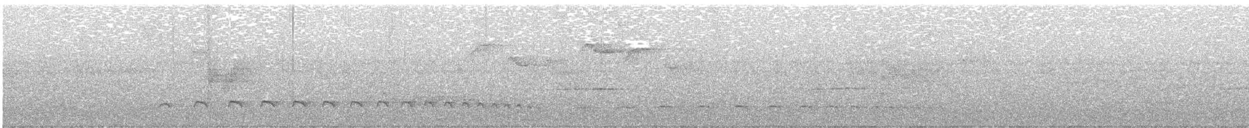 Streifenkopf-Ameisenvogel - ML341537561
