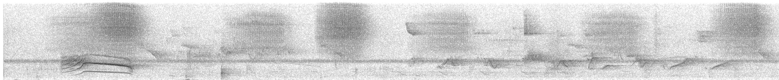 Chestnut-sided Shrike-Vireo - ML341580031