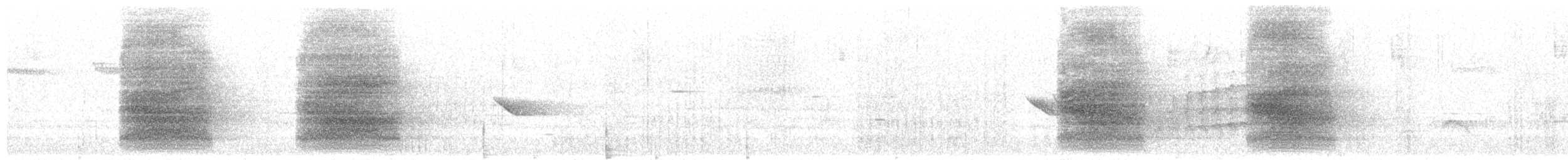 furuskrike (coronata gr.) - ML341581171