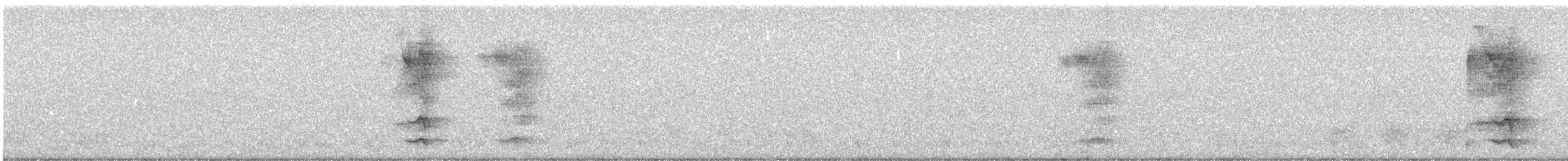 Chouette hulotte - ML341651051