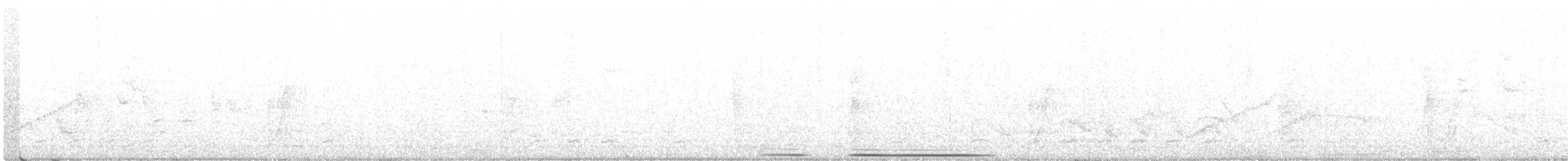 White-tipped Dove - ML341706411