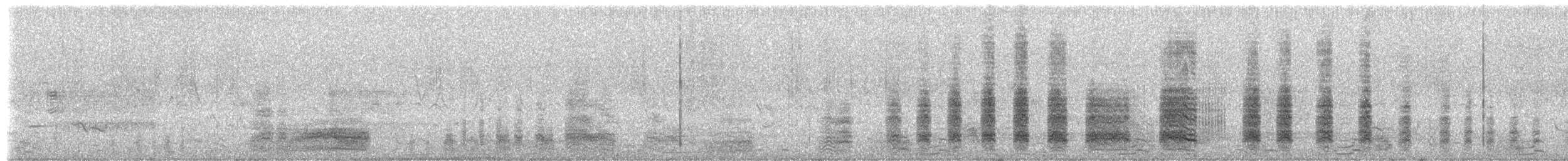 裏海燕鷗 - ML341714691