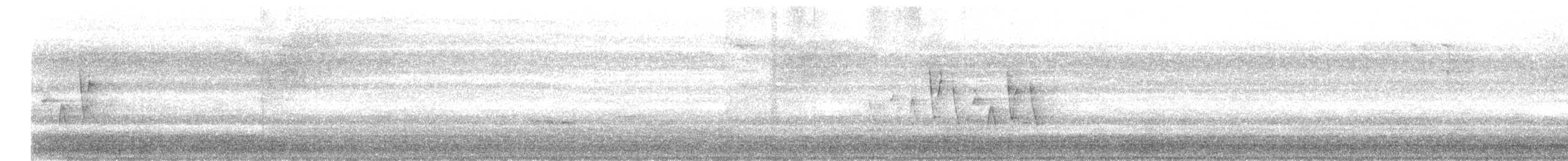 Connecticut Warbler - ML341731601