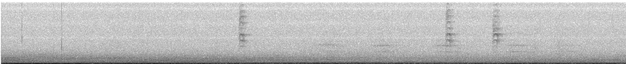 Новозеландская веерохвостка - ML341737101