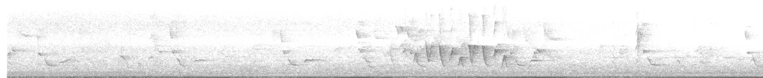 Connecticut Warbler - ML341757571