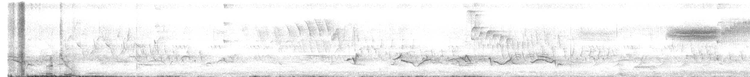 Голубокрылая червеедка - ML341853171