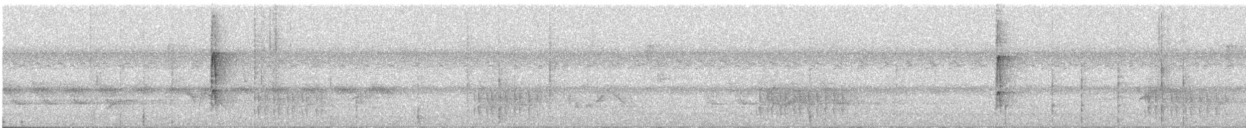 strakapoud osikový - ML34189411