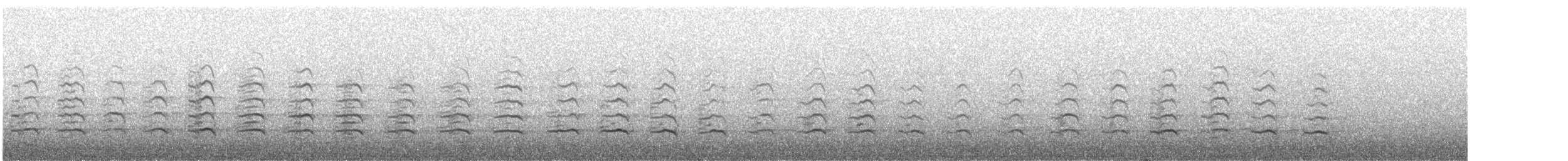 Faucon pèlerin (anatum) - ML341898731