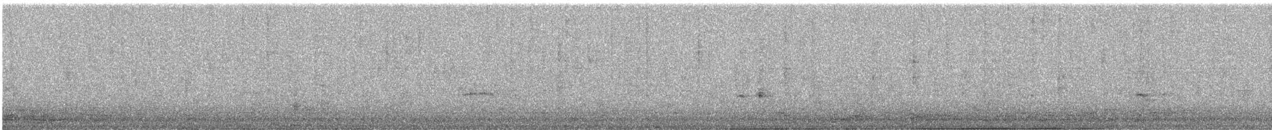 Little Ringed Plover - ML341917491