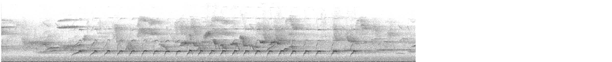 Pic noir - ML341974201