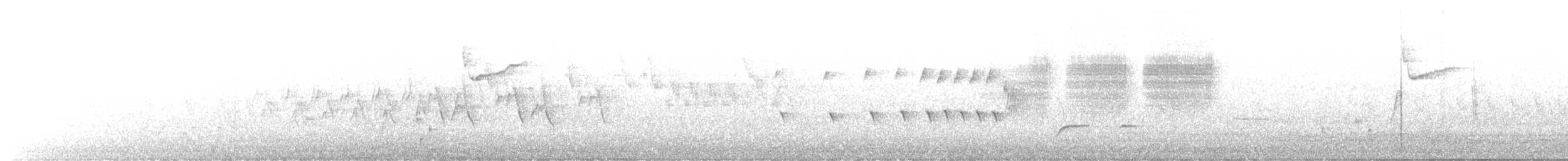 Карнатка бліда - ML341981721