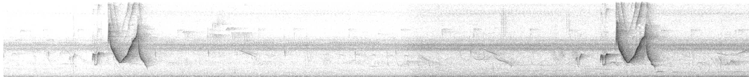 Зернолуск золотодзьобий - ML341997311