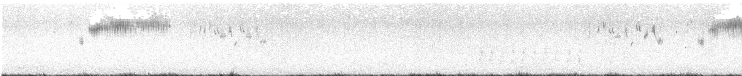 Bruant sauterelle - ML342005701
