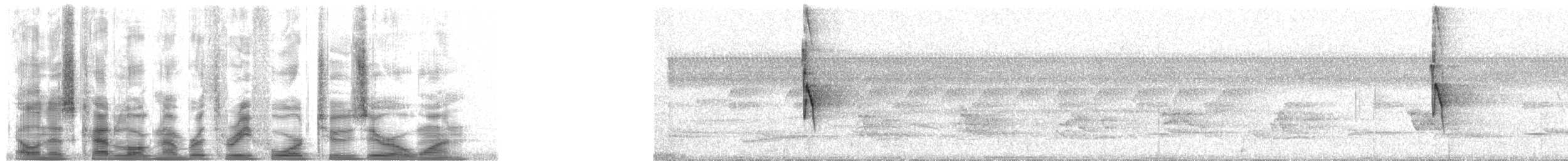 Tyran sociable (groupe similis) - ML34201