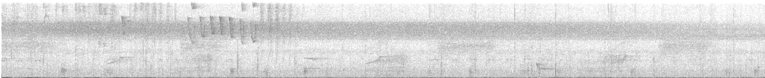 Бронзовый колибри-отшельник - ML342072851