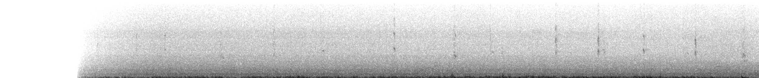 Black-naped Tern - ML342077791