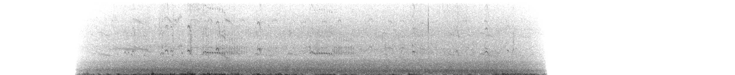 Black-naped Tern - ML342077821