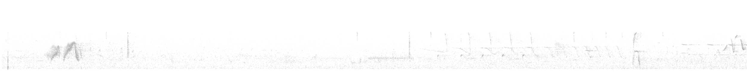 tyranovec olšový - ML342172751