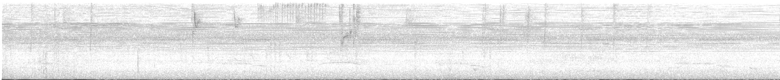 Белошапочный колибри - ML342187411