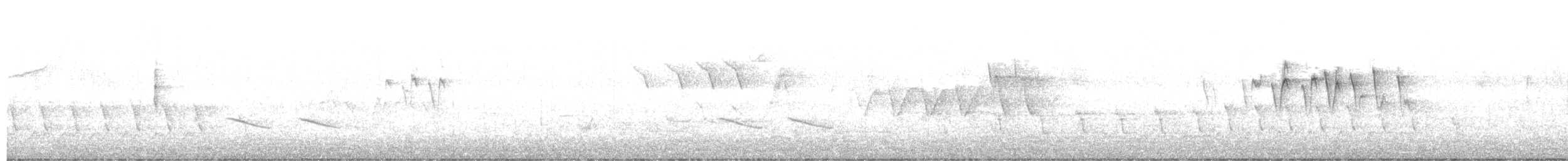 Малая вильсония - ML342201951