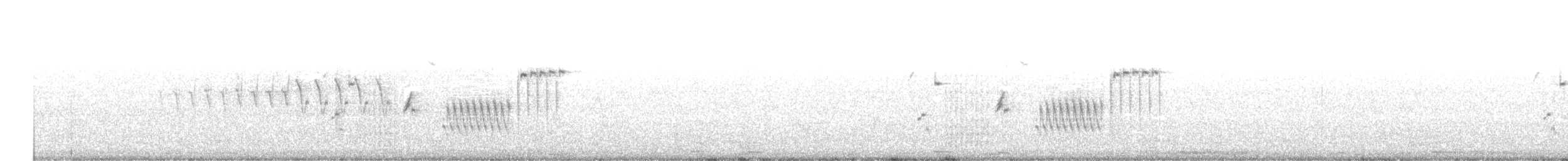 Schwarzkehlammer - ML342216831