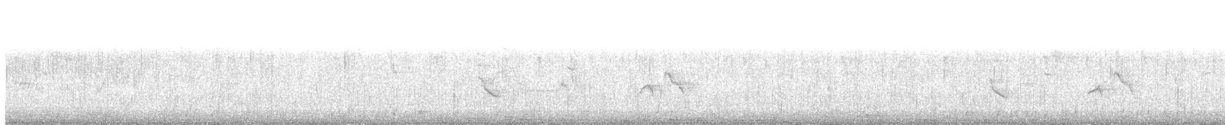 コシアカフウキンチョウ（passerinii） - ML342230941