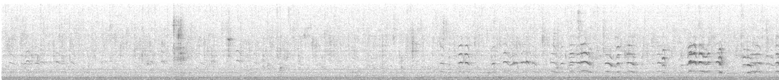 Bar-tailed Godwit - ML342241931