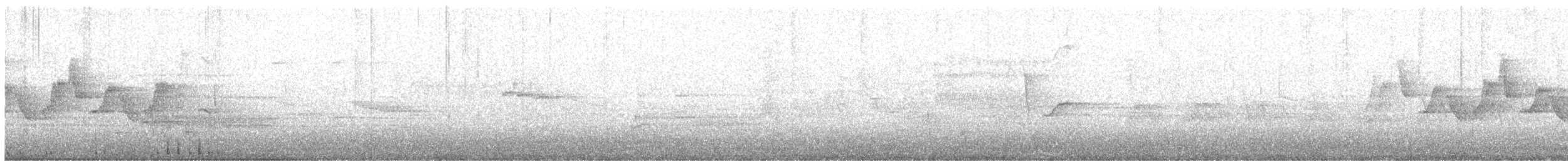 Paruline à gorge grise - ML342306241