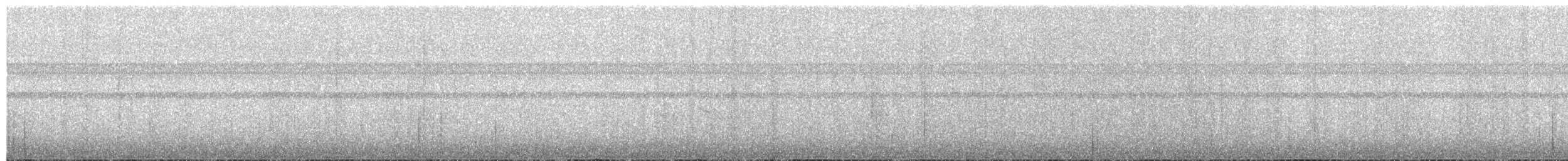 Лінивка-смугохвіст західна - ML342330421