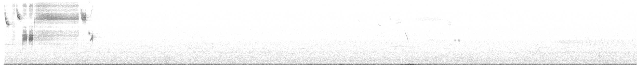 Savannah Sparrow - ML342330831