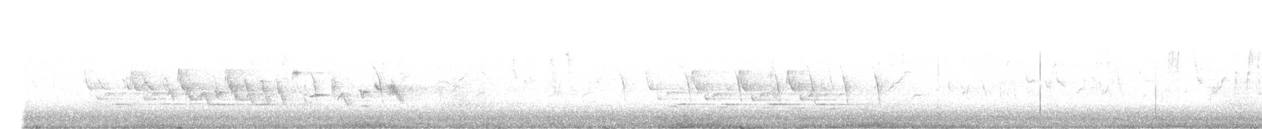 Troglodyte de Caroline - ML342333701
