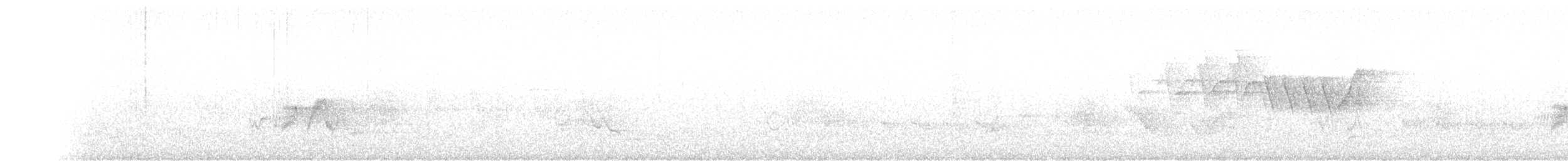 tyranovec olšový - ML342336091
