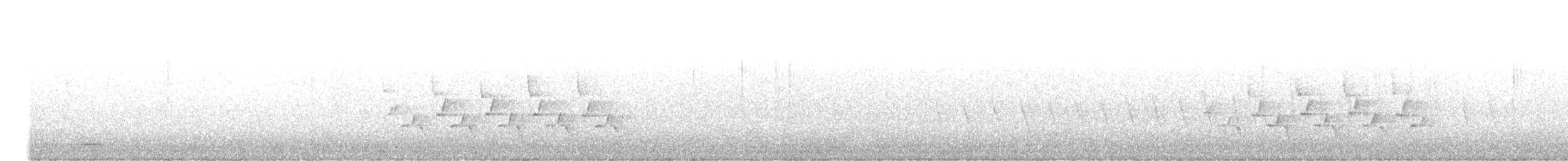 Troglodyte de Caroline - ML342345951