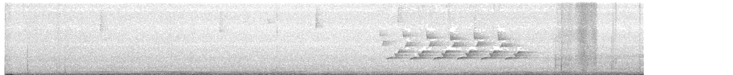 Поплітник каролінський - ML342363351