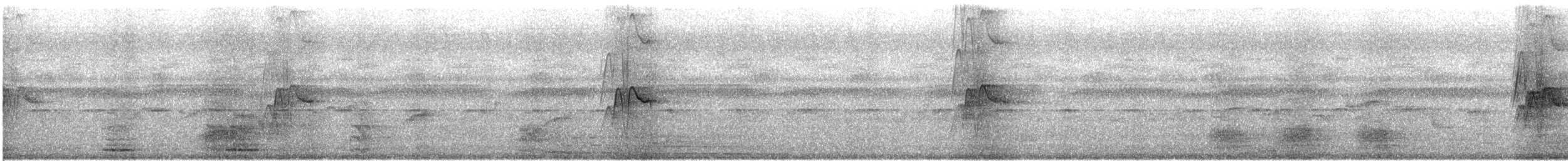 Dendrocygne siffleur - ML342415861