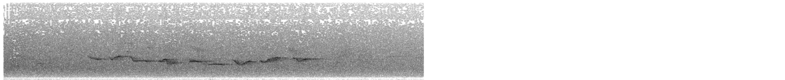 Papamoscas de Ceilán - ML342450931