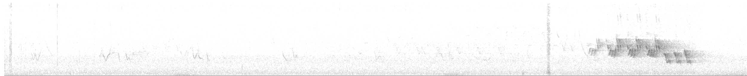 svartbrystparula - ML342468121