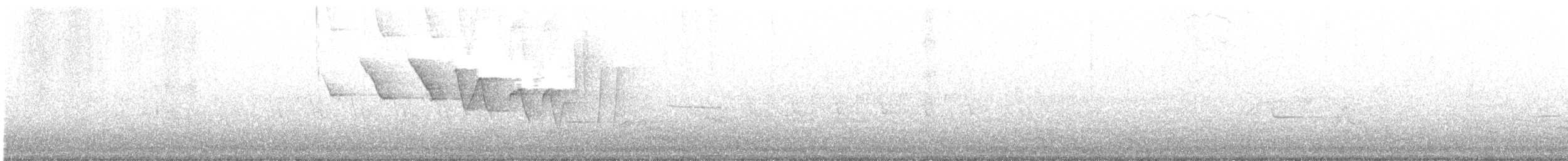 Louisiana Waterthrush - ML342481731