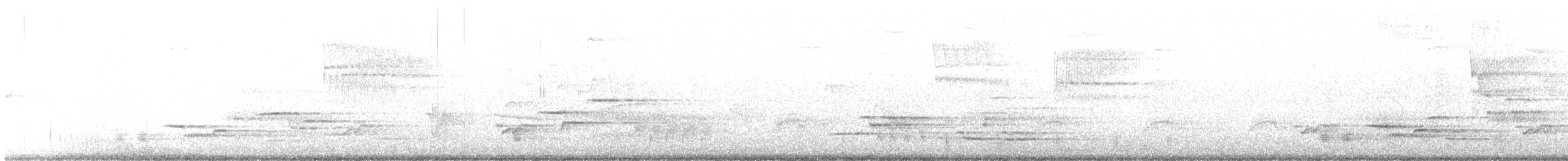 Wood Thrush - ML342499181