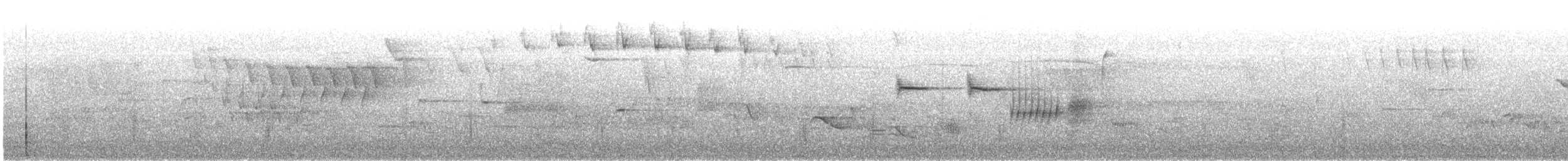 Blackpoll Warbler - ML342541081