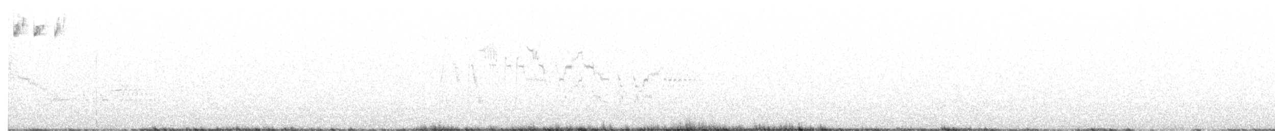 Дрізд-короткодзьоб канадський - ML342550411