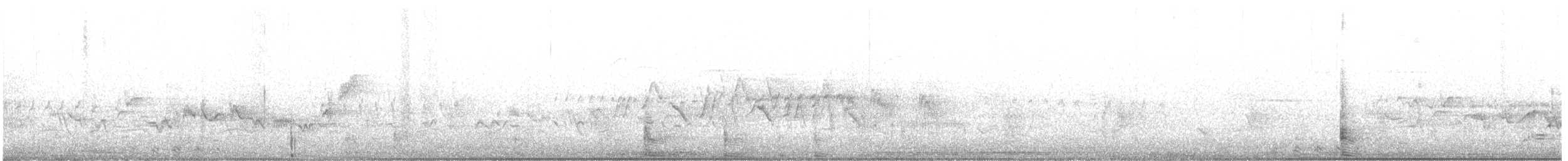 pygmérørdrum - ML342556041