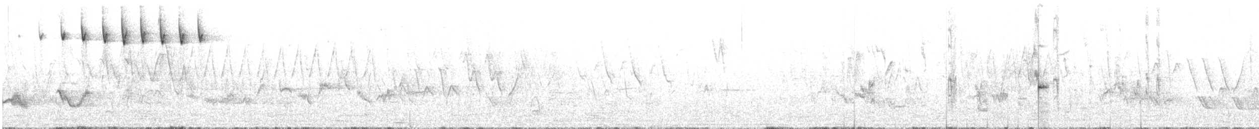lesňáček černohlavý - ML342561311