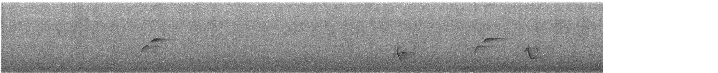 Batı Amerika Sinekkapanı (occidentalis/hellmayri) - ML342593681