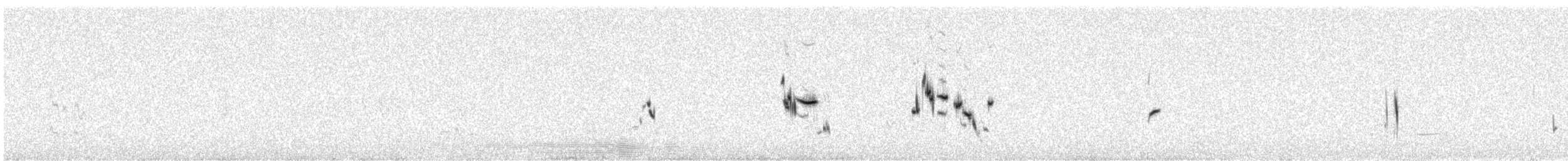 Plectrophane à ventre gris - ML342598351