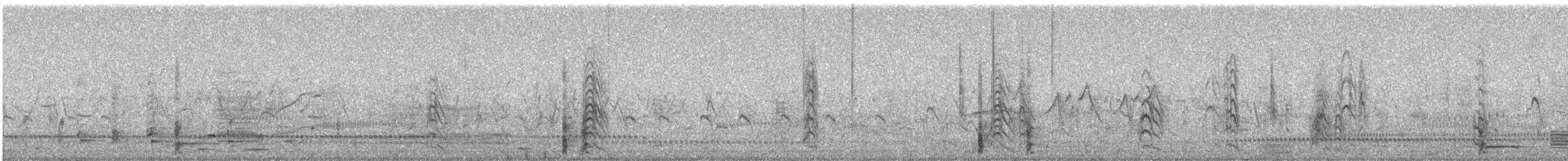 Чёрная крачка - ML342637311