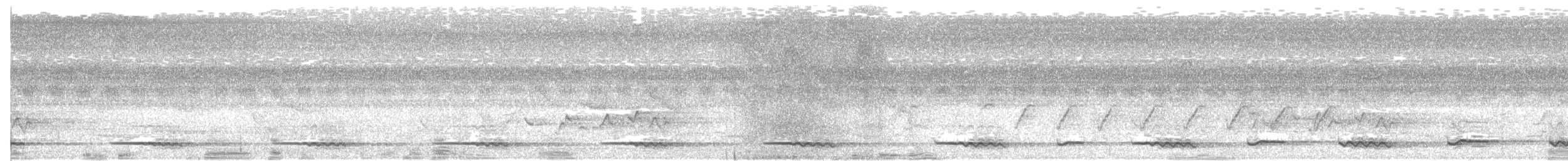 Sabah Partridge - ML34264371