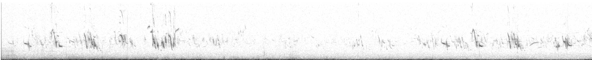 Plectrophane à ventre gris - ML342702761